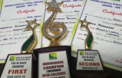 Athletics trophies for first place, individual champion and second place